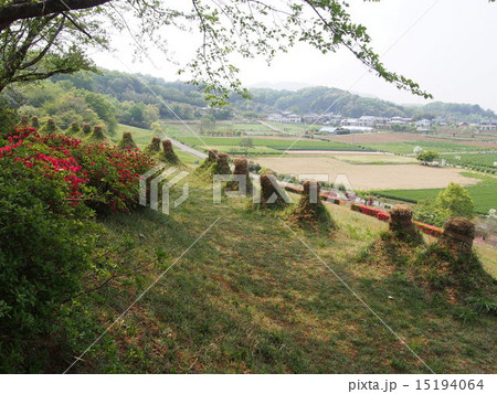 猪俣百八燈（埼玉県児玉郡美里町猪俣） 15194064