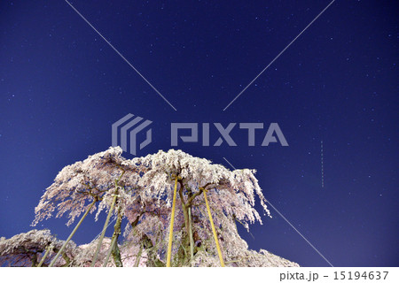 星空と三春の滝桜 15194637