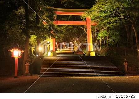 宇佐神宮ライトアップ 15195735