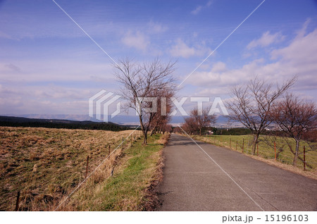 阿蘇仙酔峡からの道 15196103
