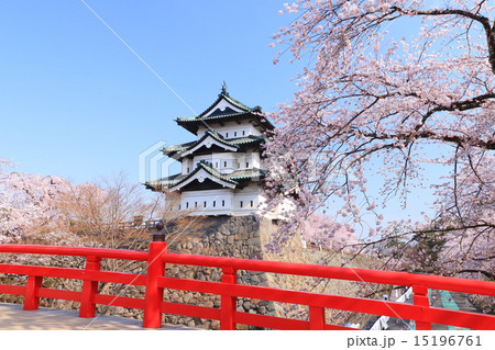 花咲く弘前城 天守と下乗橋 花咲く弘前城 天守と下乗橋 15196761