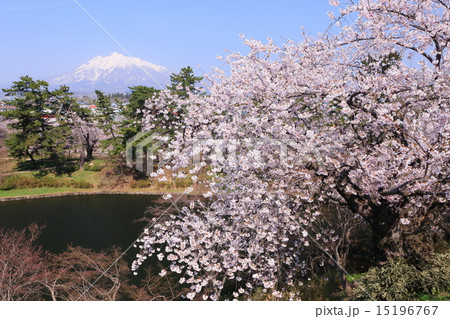 花咲く弘前城から岩木山を展望する 花咲く弘前城から岩木山を展望する 15196767