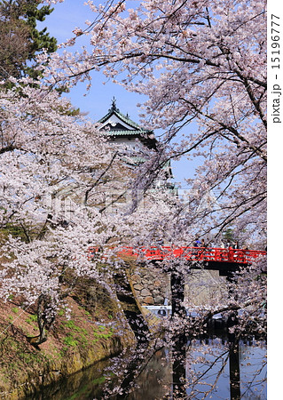 花咲く弘前城 天守とサクラ 花咲く弘前城 天守とサクラ 15196777