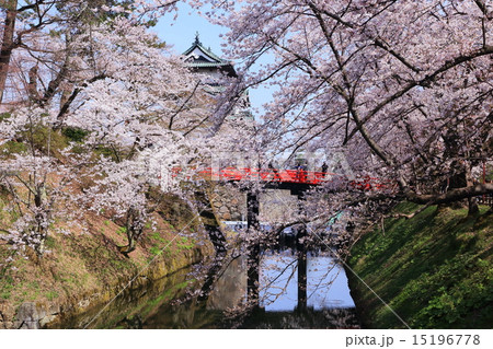 花咲く弘前城 天守とサクラ 花咲く弘前城 天守とサクラ 15196778