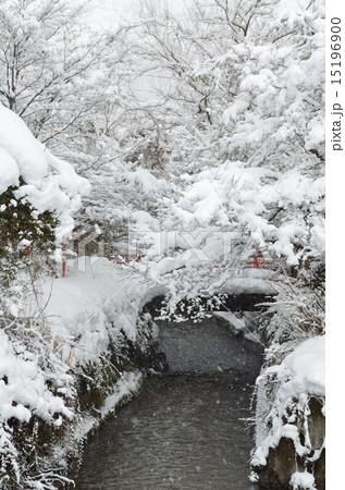 雪国の小川 15196900