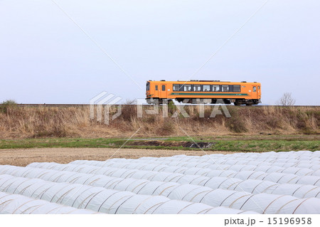 津軽平野を疾走する津軽鉄道 15196958