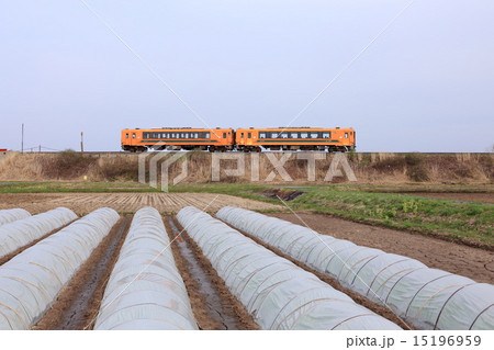 津軽平野を疾走する津軽鉄道 15196959