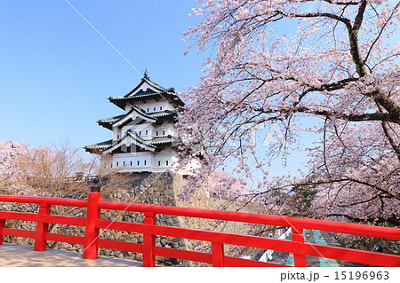 花咲く弘前城 天守とサクラ 花咲く弘前城 天守とサクラ 15196963
