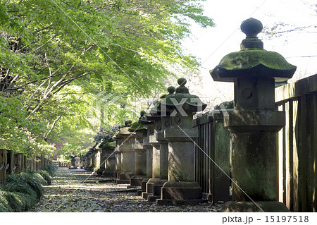 平林寺 大河内松平家廟所 平林寺 大河内松平家廟所 15197518