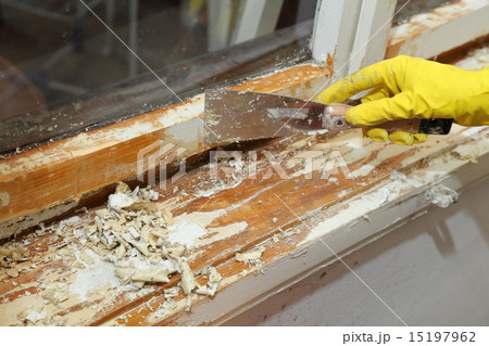 Old window restoration, worker remove paint 15197962