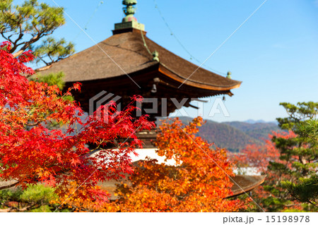 紅葉の常寂光寺 紅葉の常寂光寺 15198978