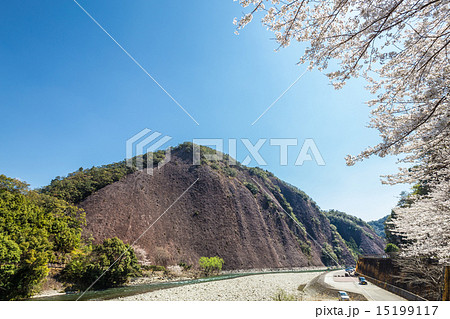 春の古座川一枚岩 春の古座川一枚岩 15199117