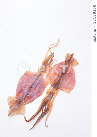 スルメ スルメ 15199350