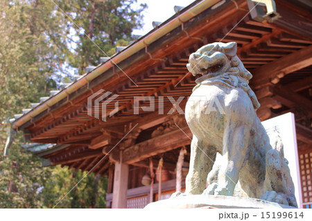 神社と狛犬 15199614