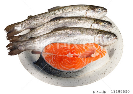 fresh trout and salmon steak on a dish 15199630