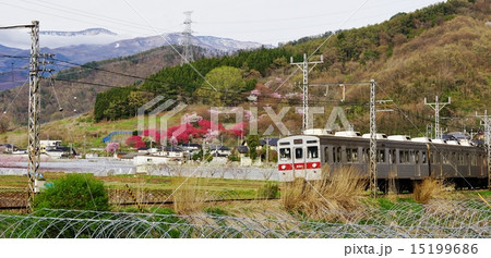 長野電鉄と桜沢 15199686