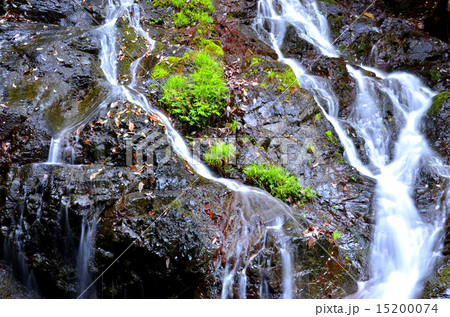日の出町の白岩の滝 日の出町の白岩の滝 15200074