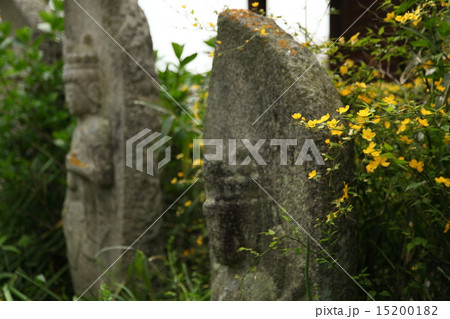 般若寺の山吹と石仏 15200182