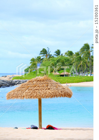 茅葺きパラソルとビーチ 15200361