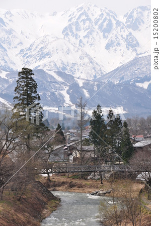 早春の大出の吊橋 15200802