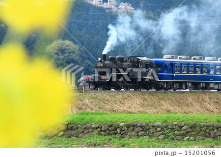 若桜鉄道SL・DL走行 若桜鉄道SL・DL走行 15201056
