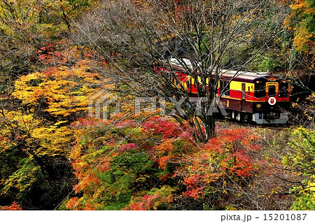 わたらせ渓谷鉄道の紅葉の写真素材