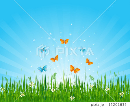 Grassy field and butterflies 15201635
