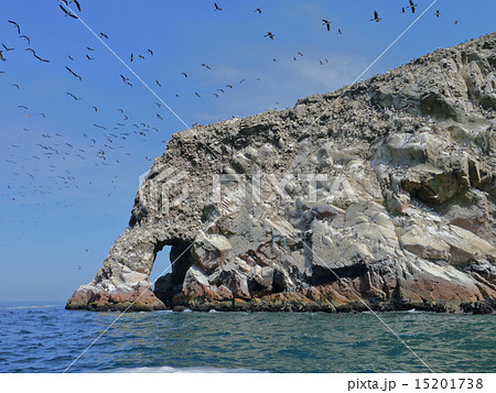 バジェスタス島 象の鼻 バジェスタス島 象の鼻 15201738