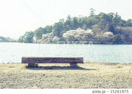 背景素材　ベンチのある風景 15201975