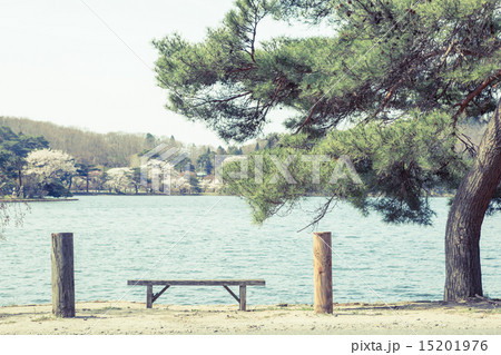 背景素材　ベンチのある風景 15201976