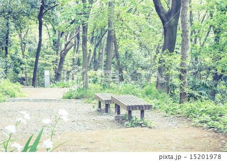 背景素材 ベンチのある風景の写真素材