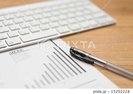 資料 資料 15202228