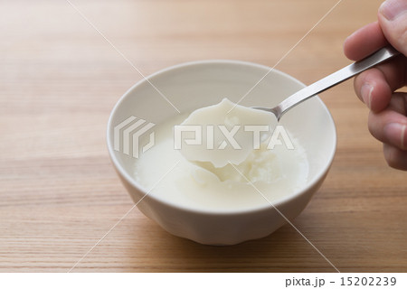 牛乳プリン 牛乳プリン 15202239