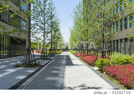 中野駅北口再開発エリア中野セントラルパークキャンパスロード 15202710