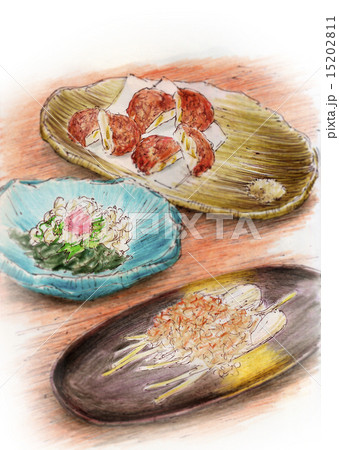 フードイラスト~さつま揚げ・ラッキョウ フードイラスト~さつま揚げ・ラッキョウ 15202811