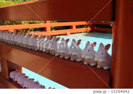 岡崎神社　うさぎおみくじ５ 15204042