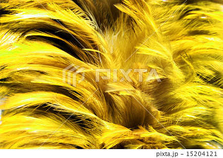 yellow fur from feather 15204121