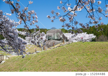 桜季節の石舞台古墳の写真素材