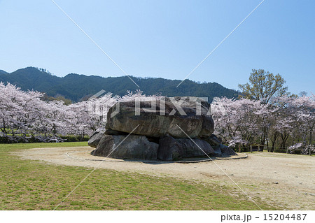 桜季節の石舞台古墳 15204487
