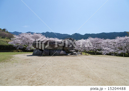 桜季節の石舞台古墳 15204488
