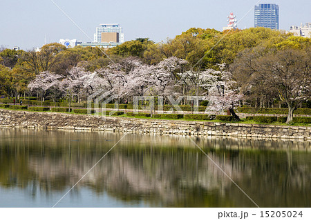 水面に映る桜並木(大阪城公園)の写真素材 [15205024] - PIXTA