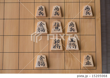 将棋・美濃囲い 将棋・美濃囲い 15205068