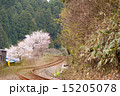 S字カーブを描く非電化路線の春の風景 15205078