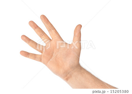 Counting hand - five 15205380