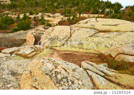 View from Caddilac Mountain  15205524