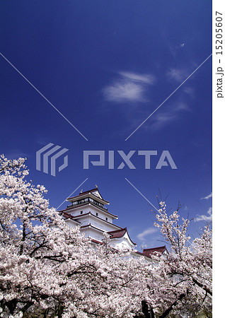 満開の桜と会津鶴ヶ城 15205607