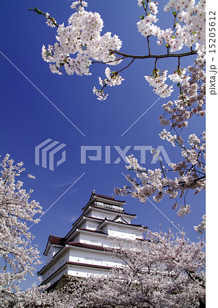 満開の桜と会津鶴ヶ城 満開の桜と会津鶴ヶ城 15205612