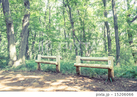 背景素材 ベンチのある風景 背景素材 ベンチのある風景 15206066