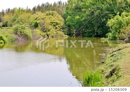 ため池 ため池 15206309
