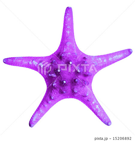 Beautiful starfish isolated on white background 15206892